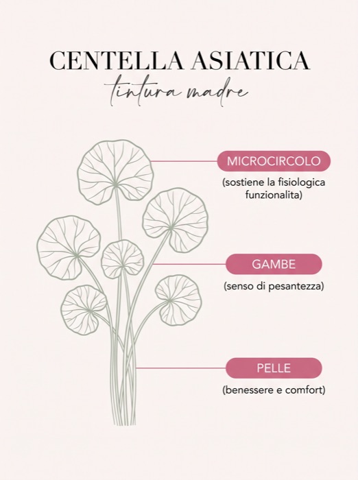 Infografica: Centella